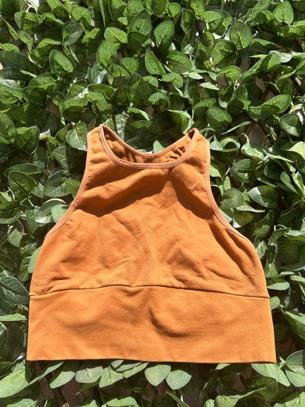 Free People Rust Orange Cropped Tank